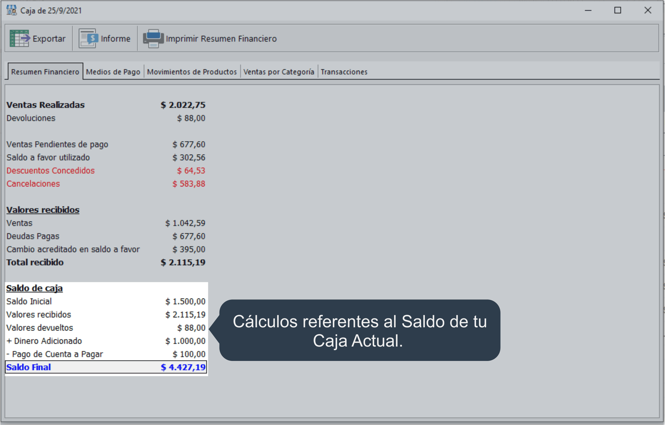 Generar un resumen financiero de tu caja actual.